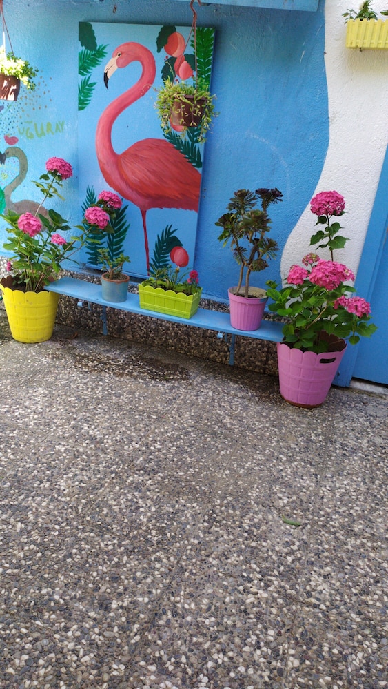 Nano Hotel 28/50