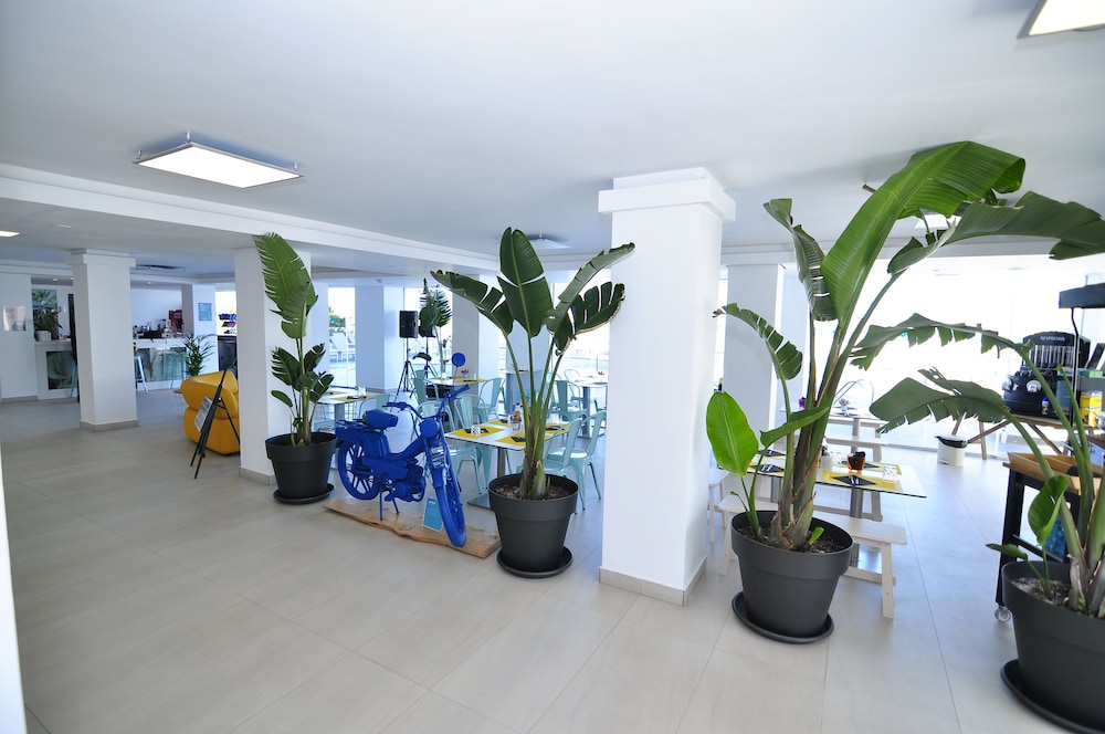 Apartamentos Typic Marina Playa - Adults Only 25/50
