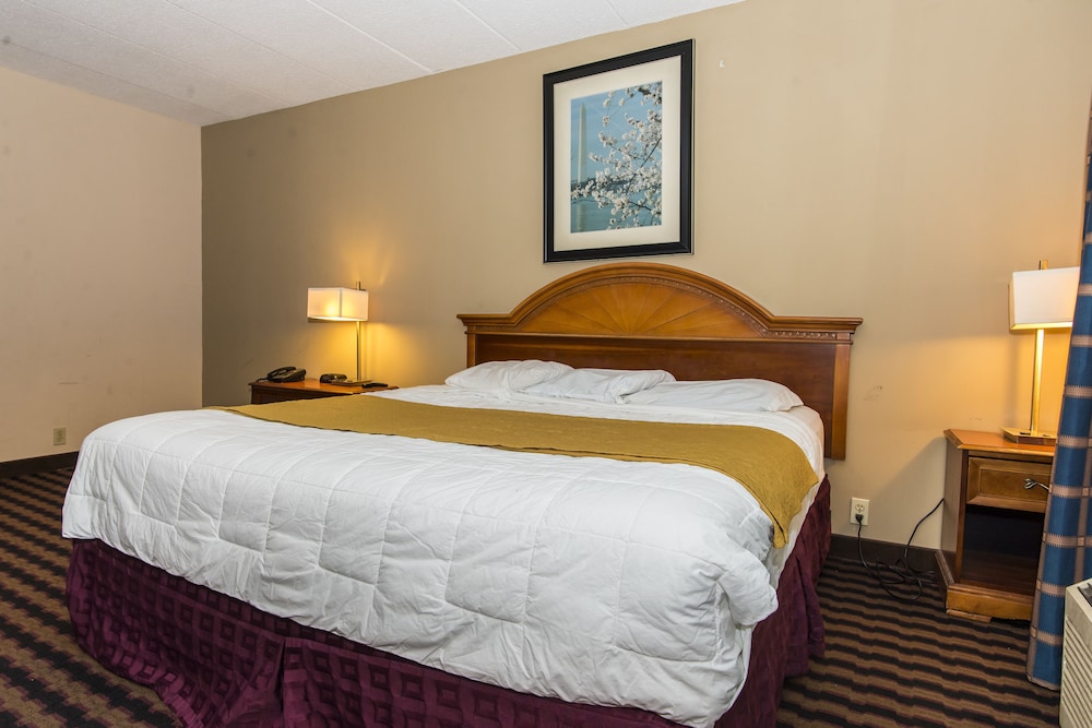 Garden Inn 15/26