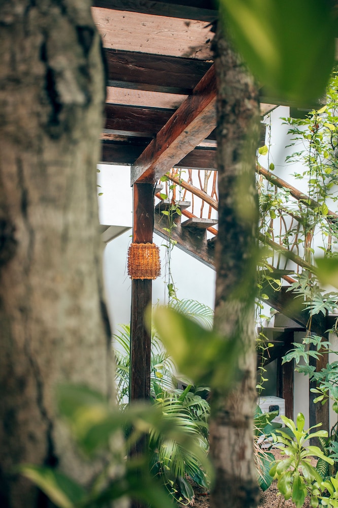 Orchid House Tulum 44/50