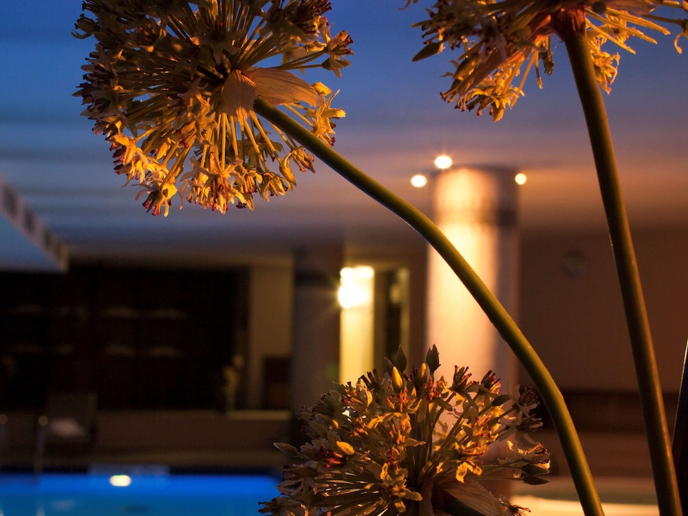 Parc Beaumont Hotel & Spa Pau - MGallery Collection 3/71