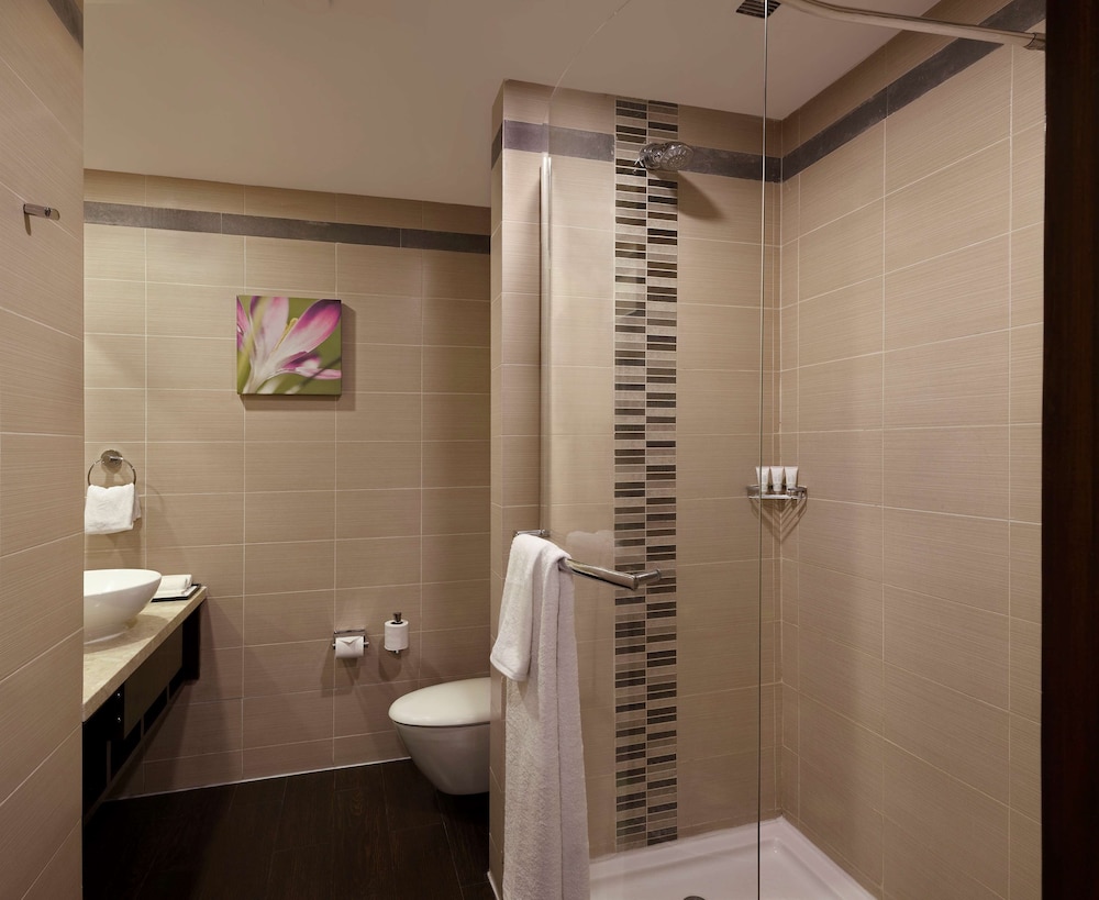 Hilton Garden Inn New Delhi Saket 27/66