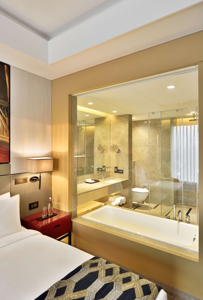 Radisson Blu Faridabad 16/75