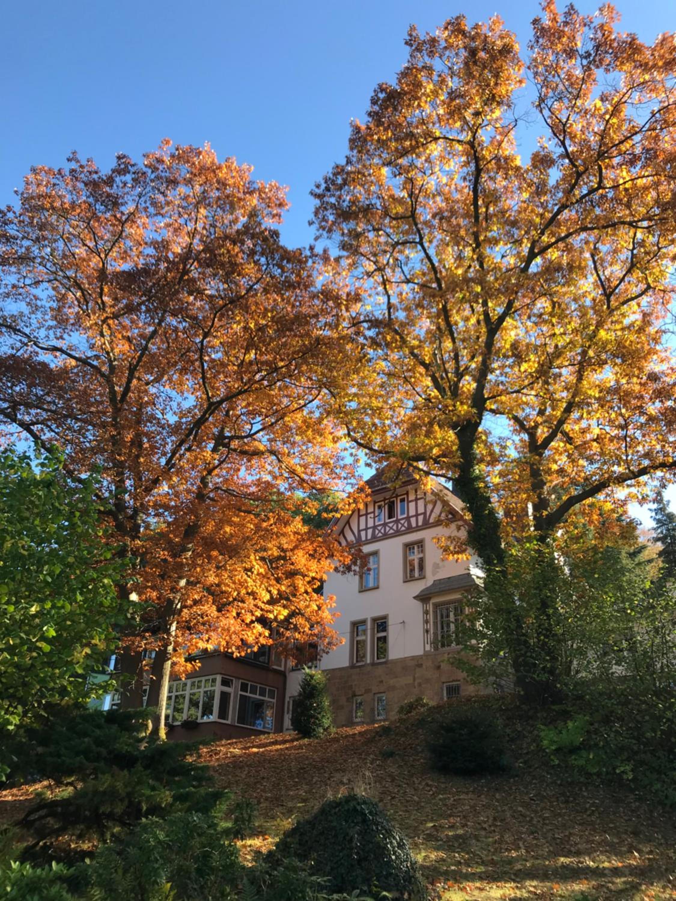 Waldhotel Bad Munstereifel 38/44