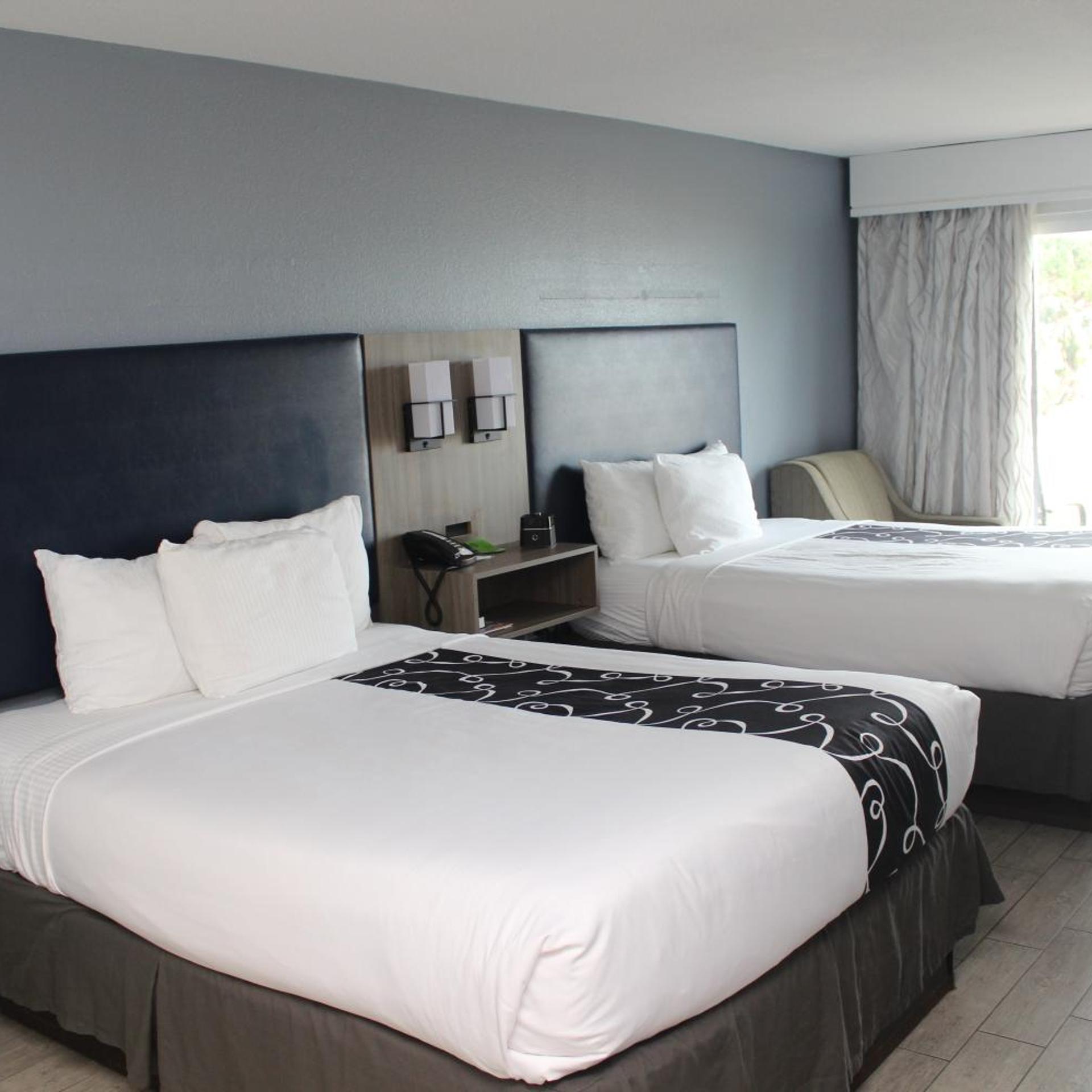 Suite, Queen Bed, Ocean Front, Sofa