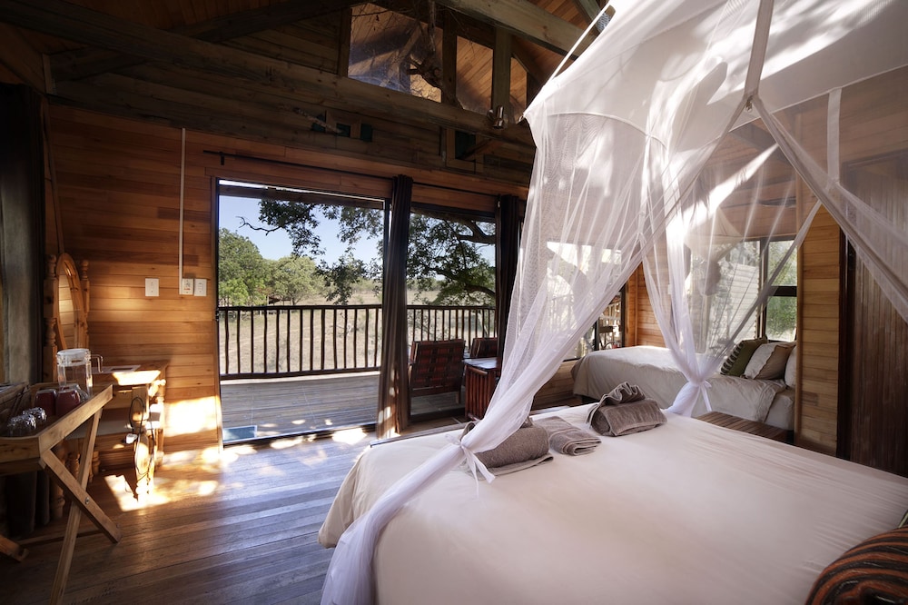 Pezulu Tree House Lodge 10/50