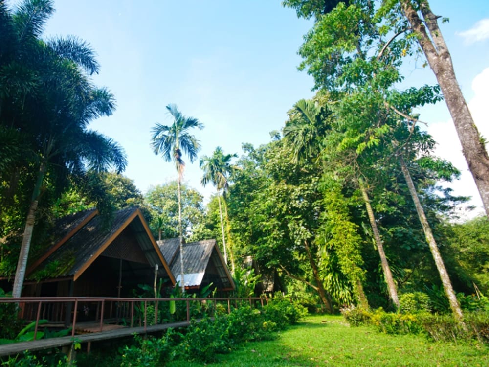 Khao Sok Riverside Cottages 46/50