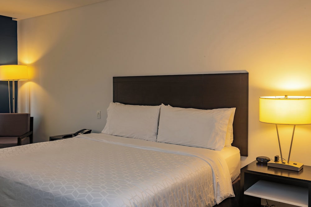 غرفة قياسية بسرير كينج لذوي الإعاقة، Holiday Inn Express Managua 6/10