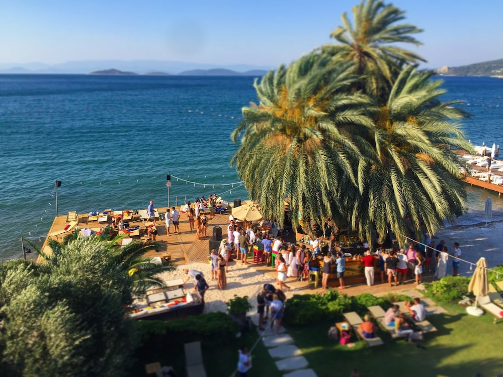 Casa dell Arte Hotel of Arts and Leisure 45/55