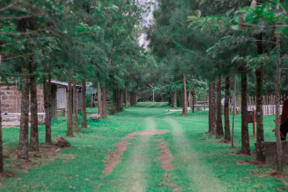 Pilgrims Getaway 14/34
