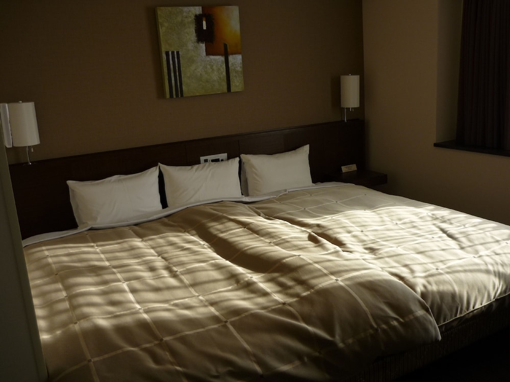 Hotel Route-Inn Hikone 6/45