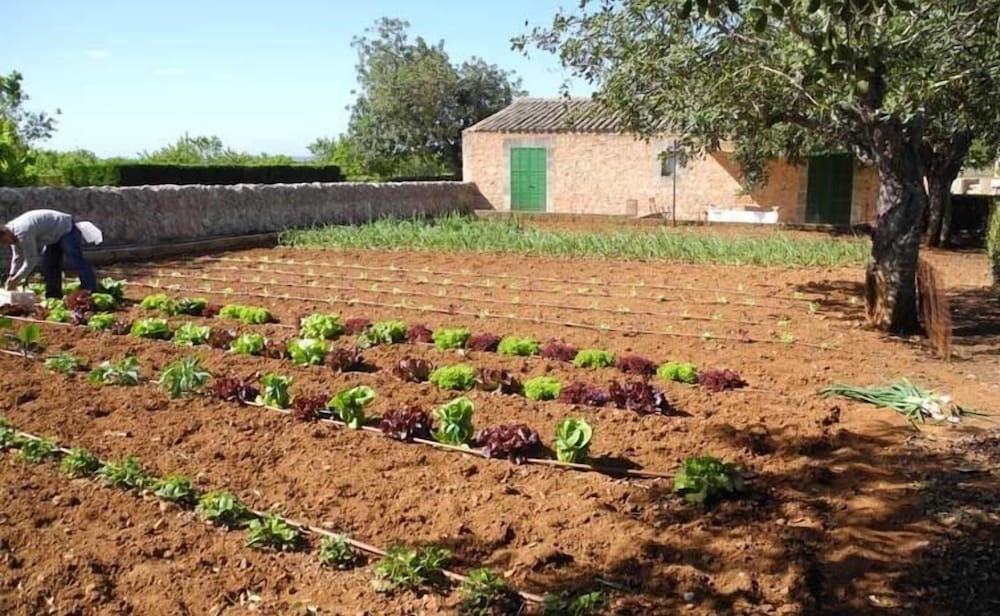 Son Bernadinet Agrotourism 53/63
