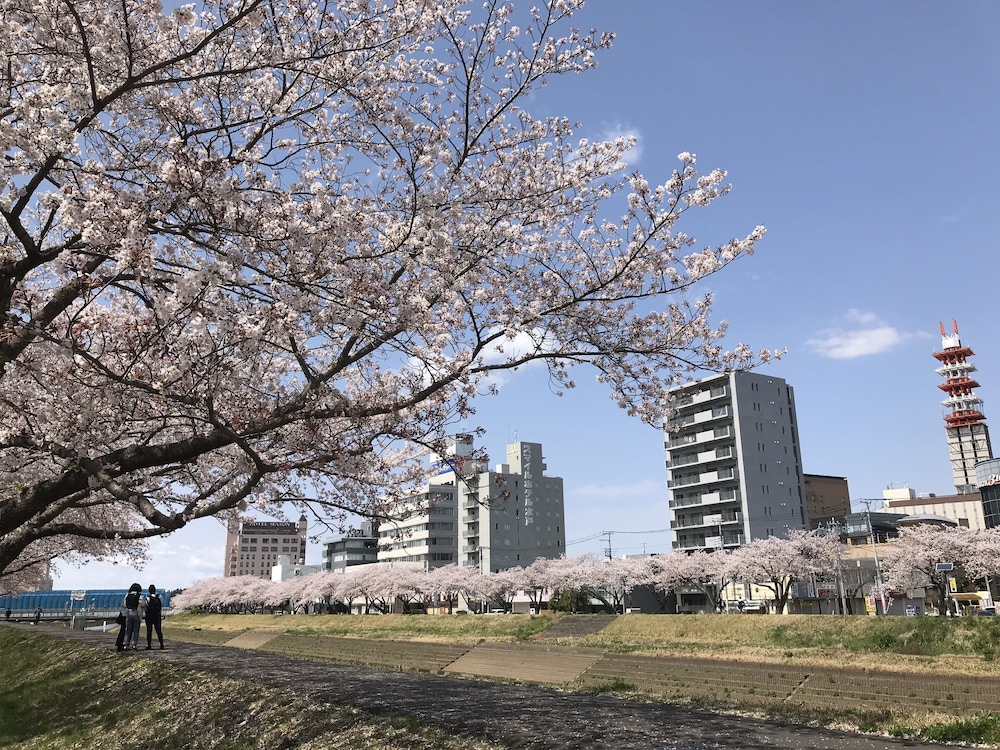 Smile Hotel Mito Ibaraki Prefecture 15/43