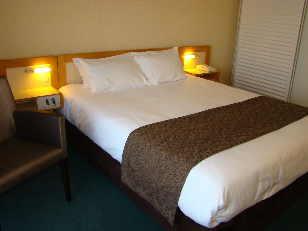 Brit Hotel Du Lac 16/43