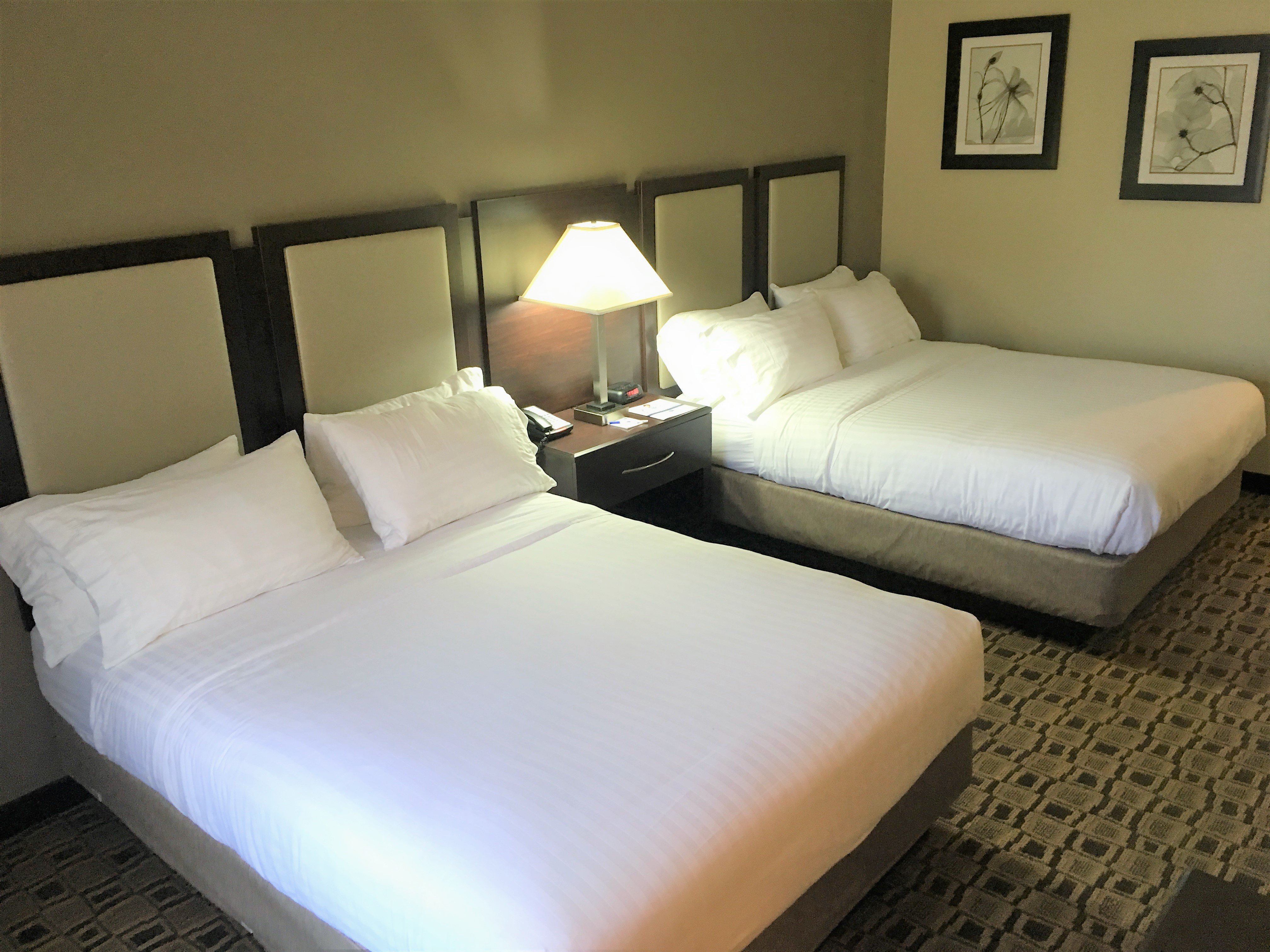 Holiday Inn Express Suites Albemarle 13/51