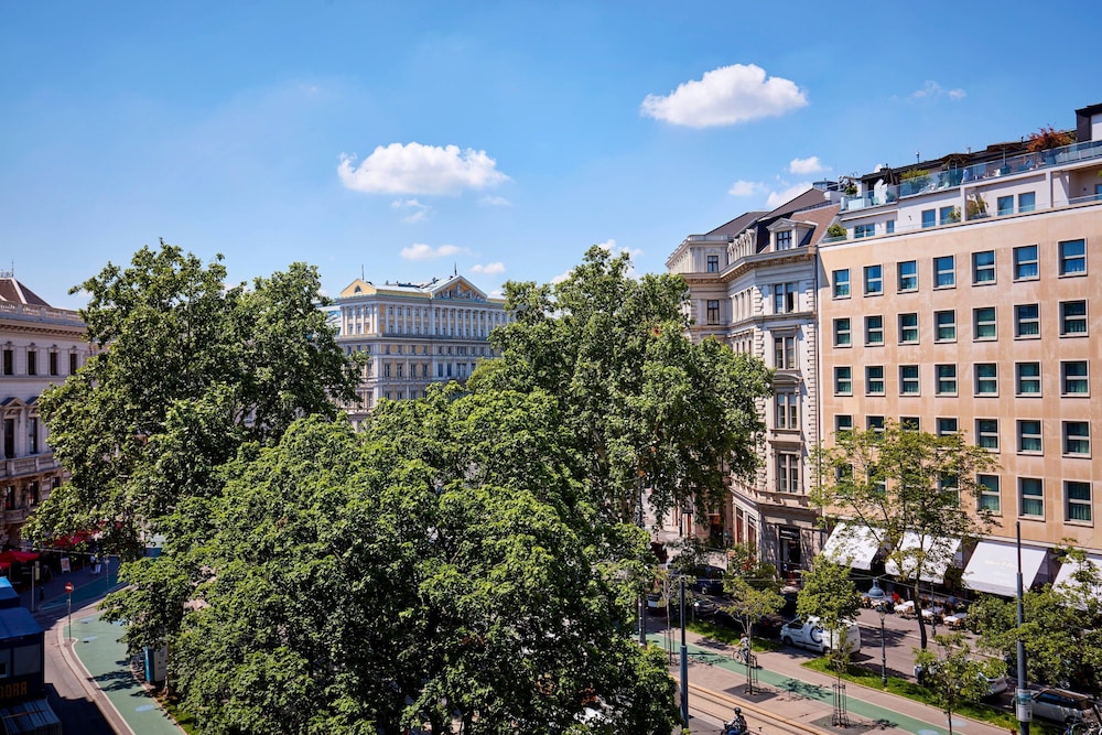 The Ritz Carlton Vienna 1/58
