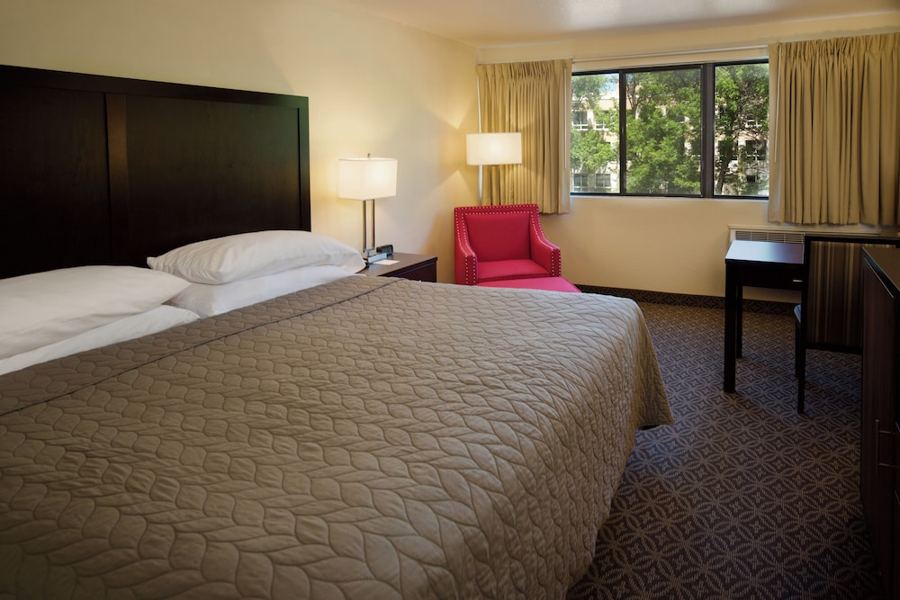 BUSINESS, KING BED