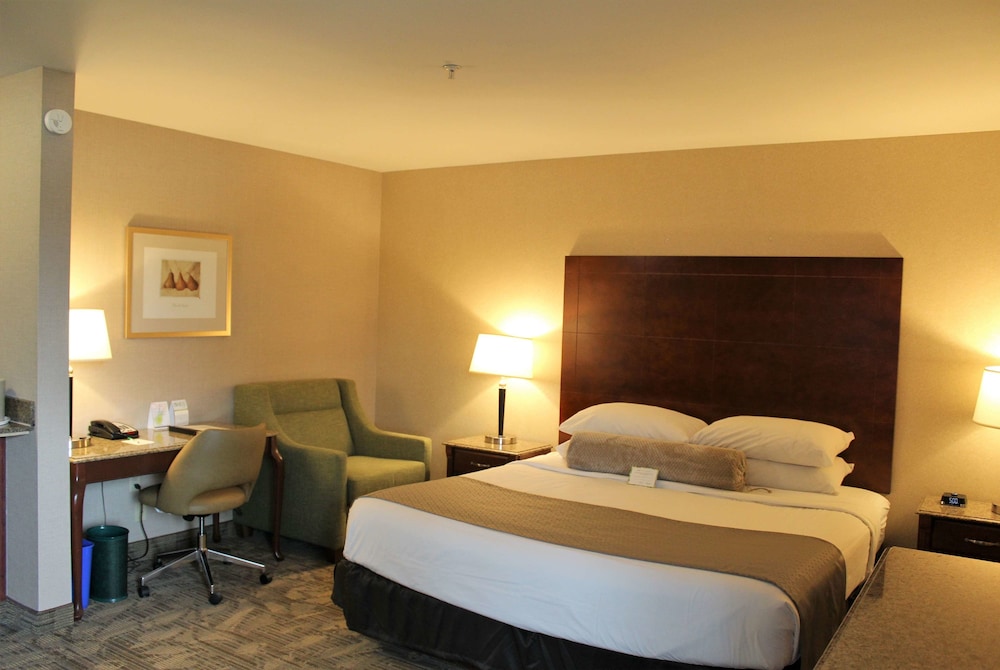 Medallion Inn and Suites 15/46