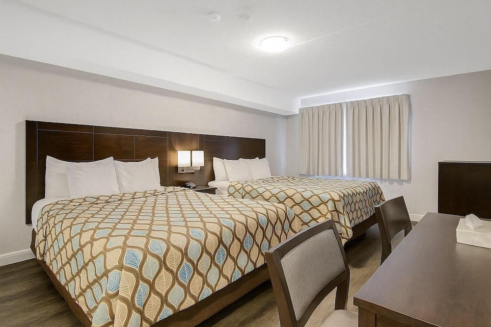 STANDARD, 2 QUEEN BEDS