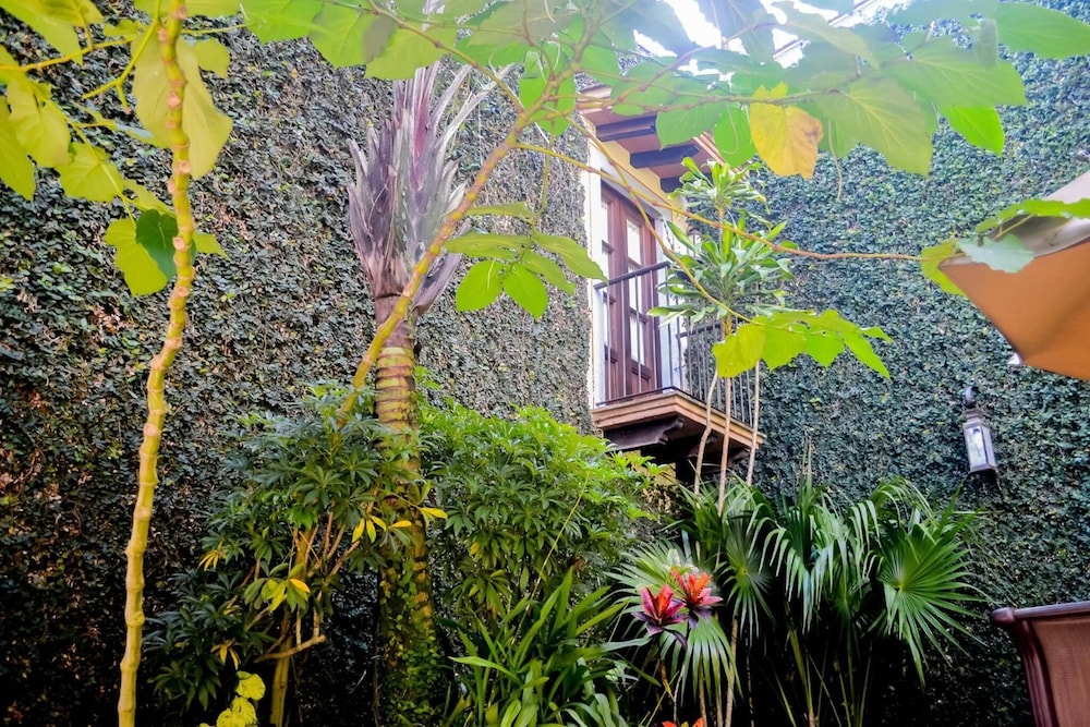 Meson del Alferez Coatepec 55/61