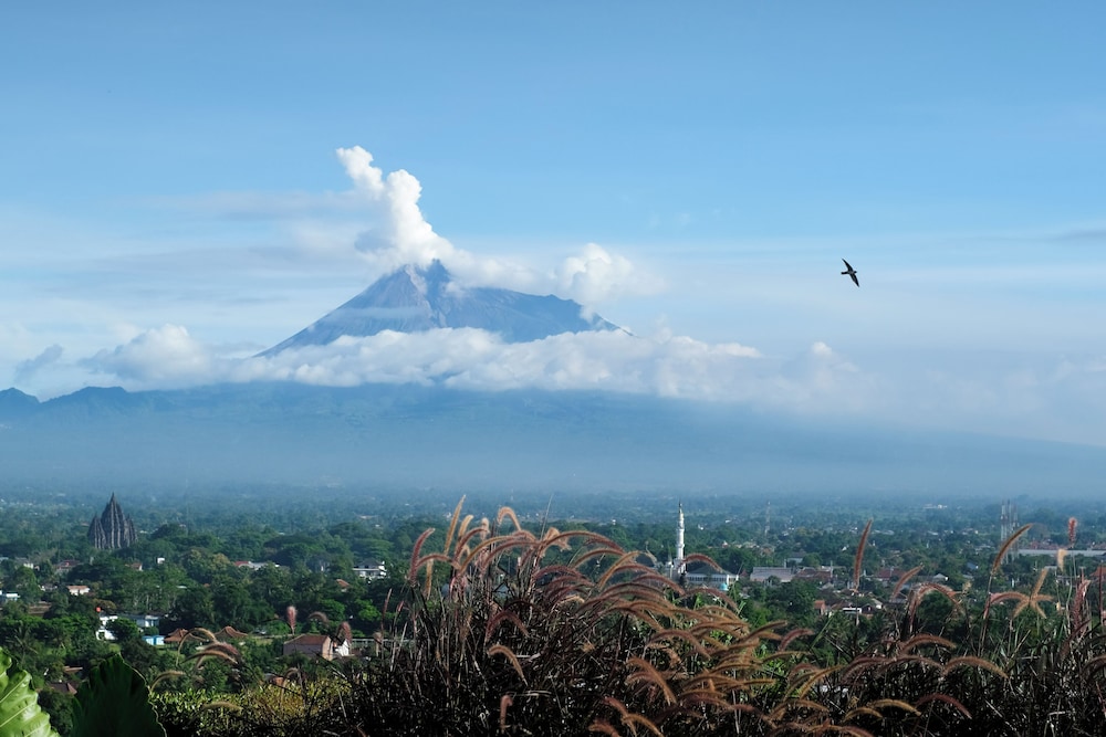 Abhayagiri - Sumberwatu Heritage Resort 39/55