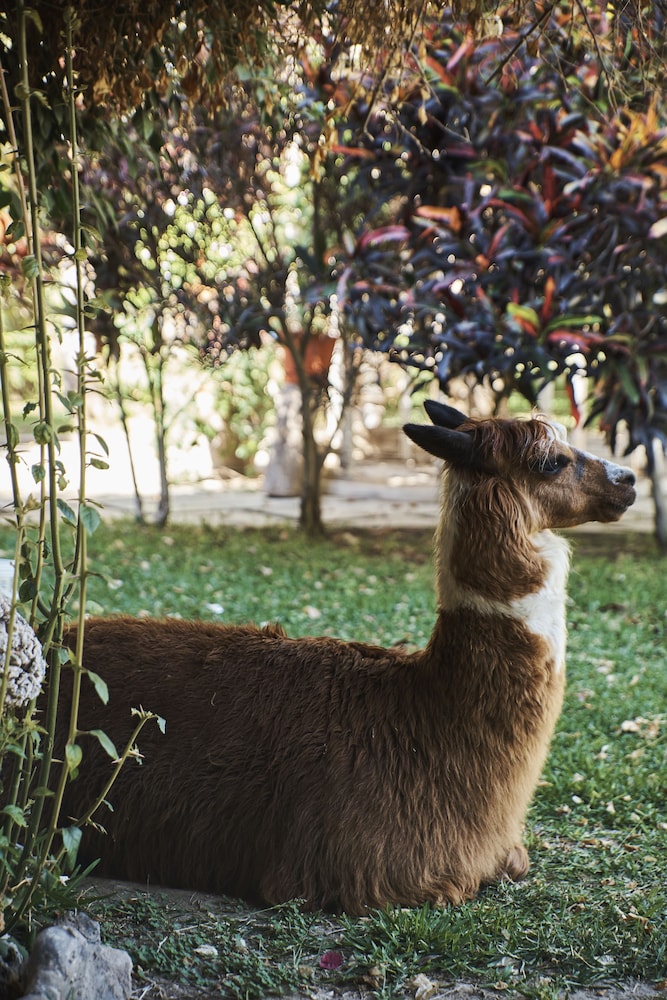 Hacienda Majoro Boutique Resort 46/50