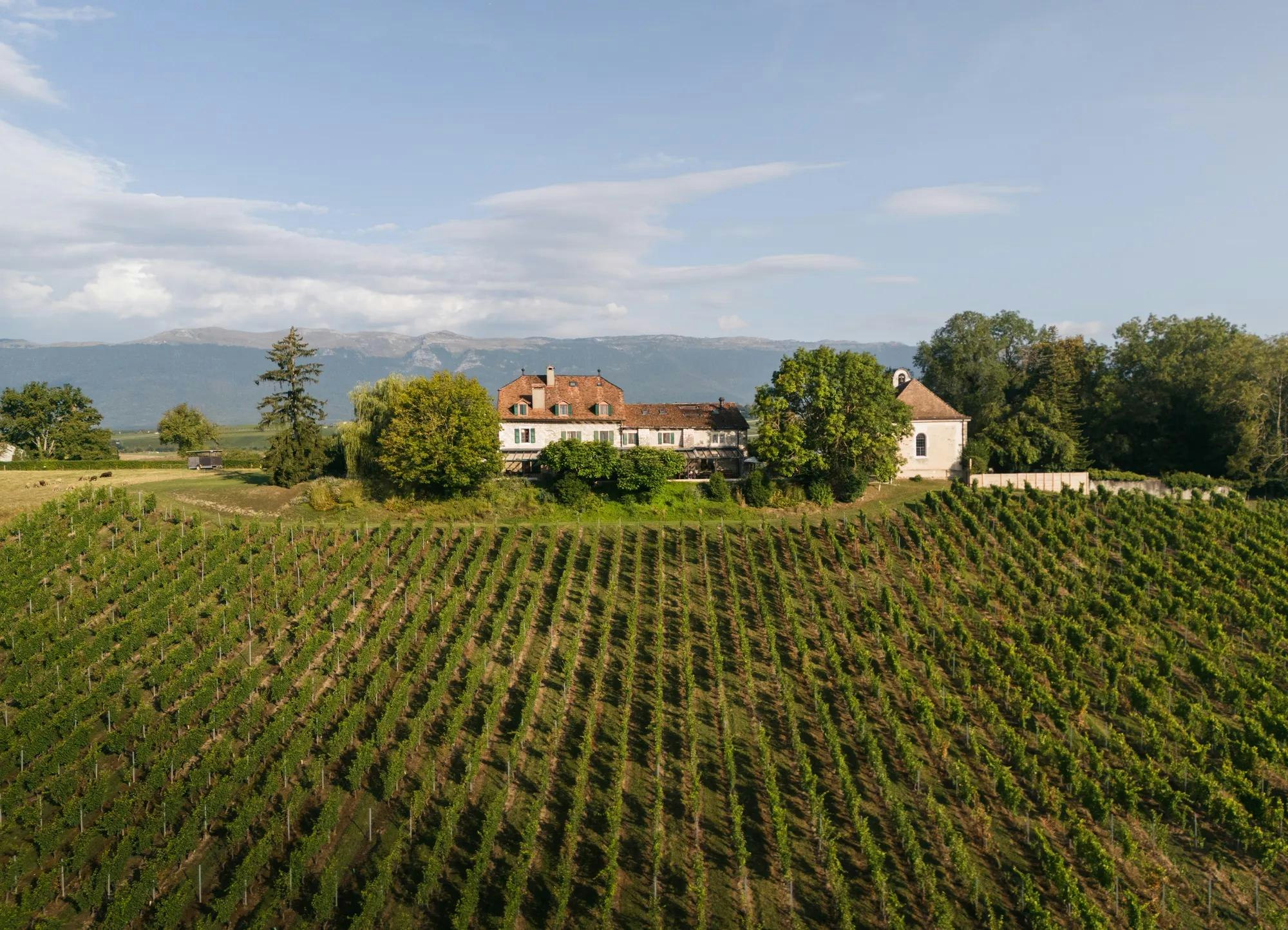 DOMAINE DE CHATEAUVIEUX 19/26