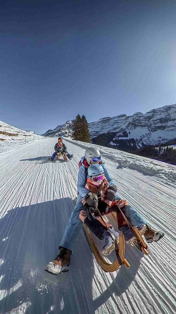 EUROTEL VICTORIA LES DIABLERETS 61/64