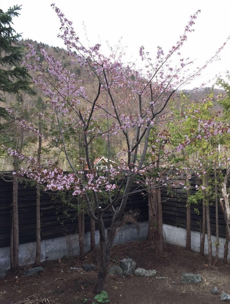 Hotel Kinwaso 22/25