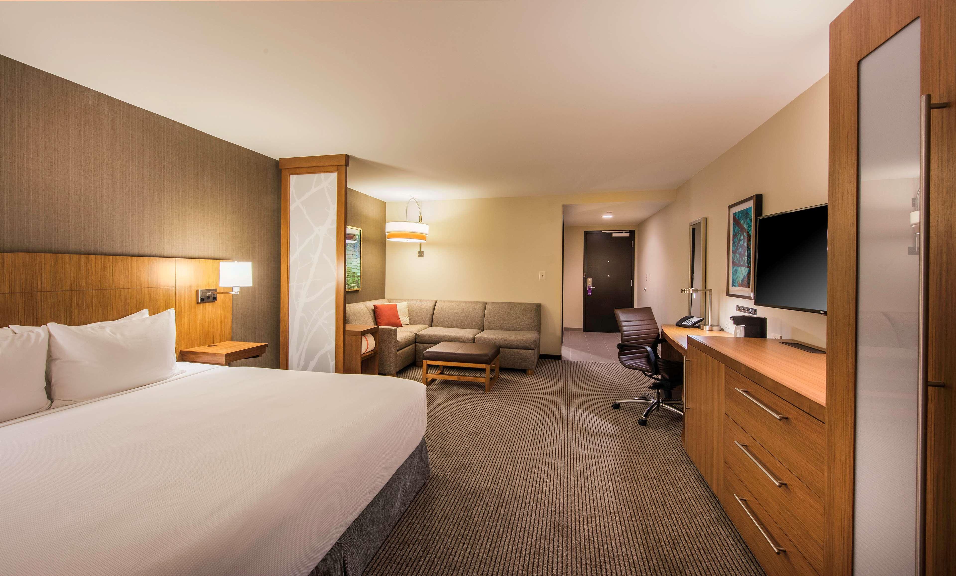 Room, King Bed