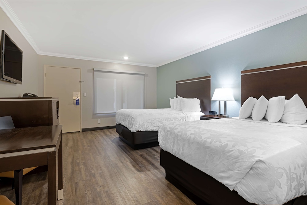 Standard, 2 Double Beds