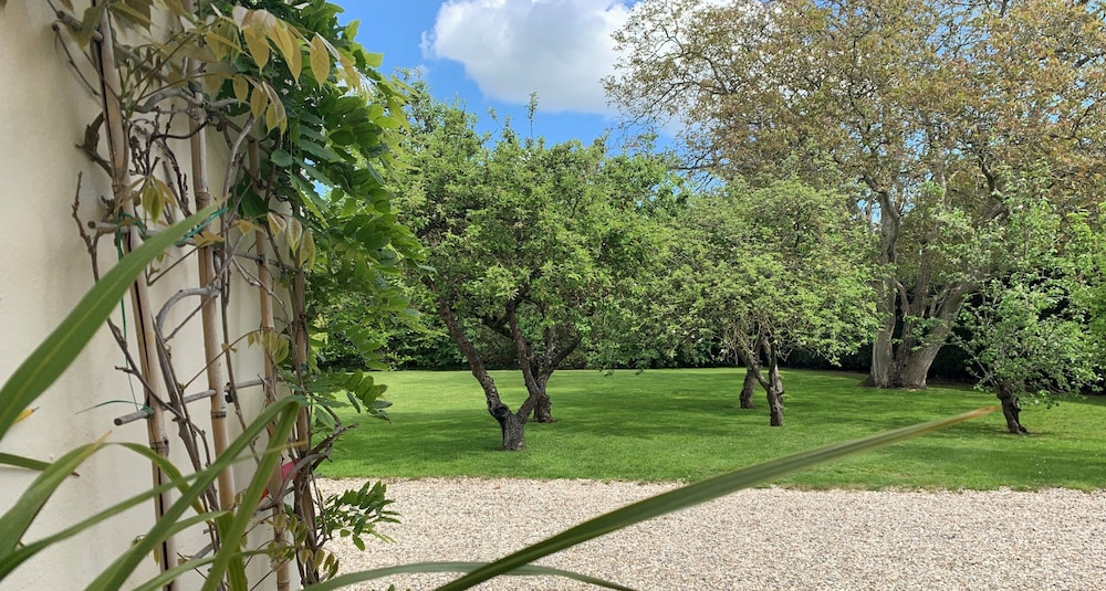 Hope Orchard Bed & Breakfast 34/46