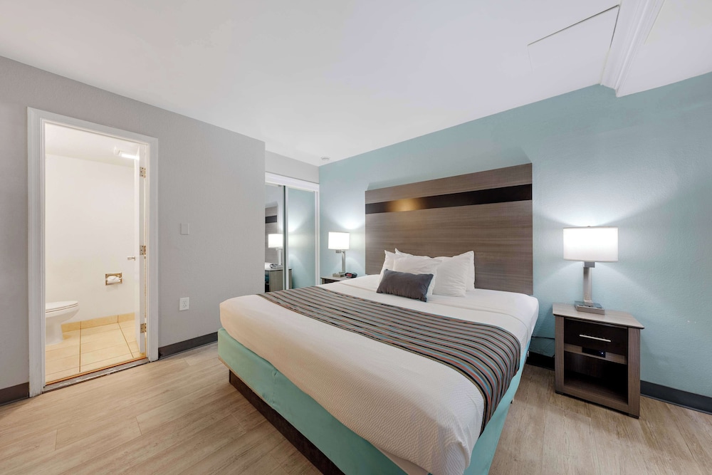 Suite, King Bed, Sofa