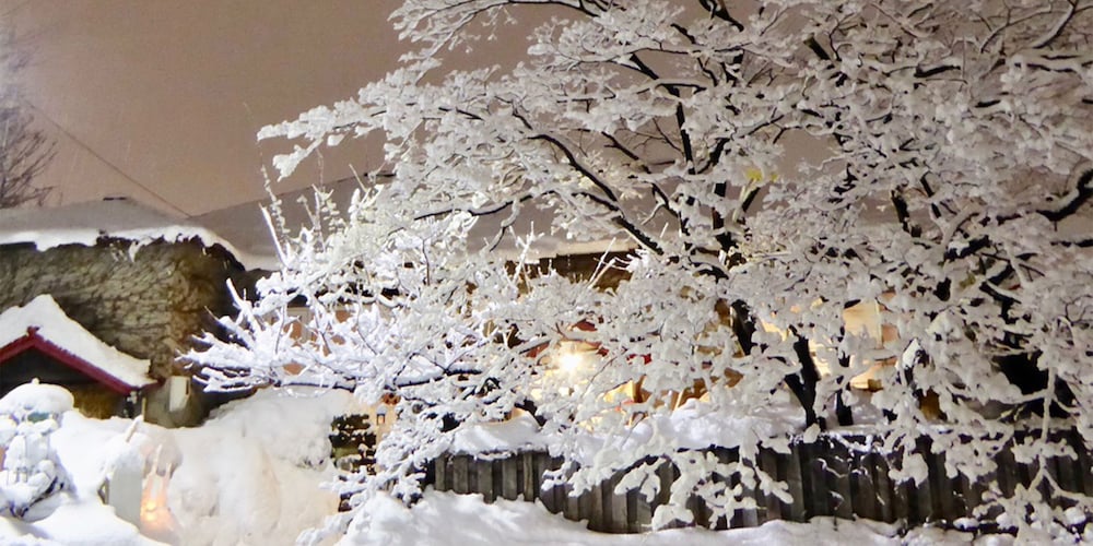 Otarunai Backpackers' Hostel Morinoki 42/48