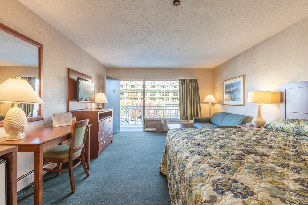 Impala Island Inn 17/34