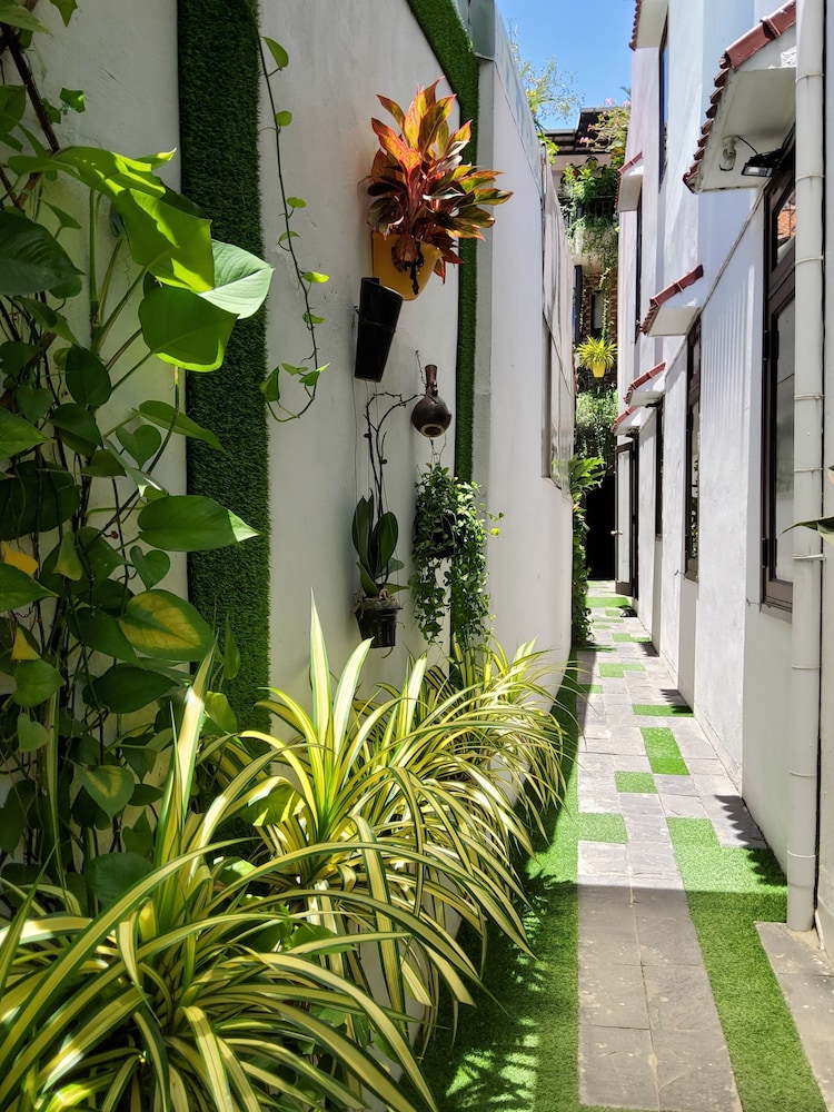 Bean Grass Homestay 29/34