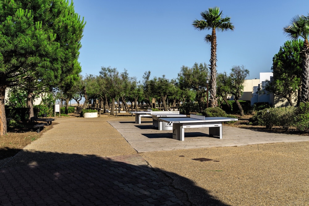 surroundings