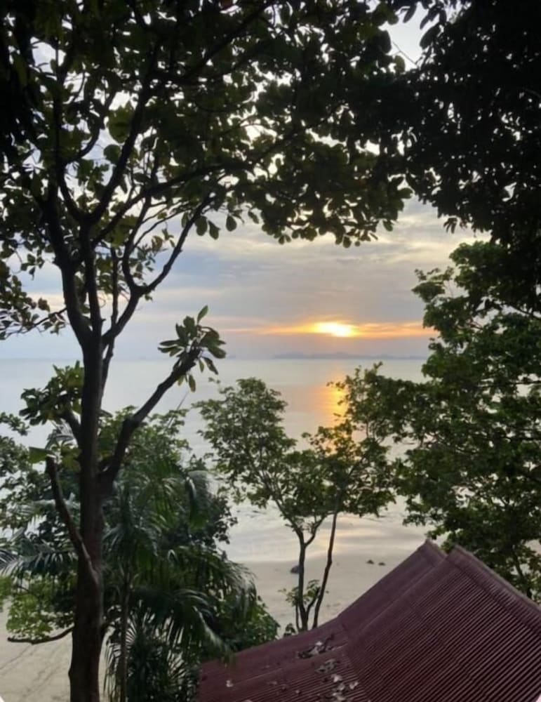 Jungle Hill Beach Bungalow 49/63