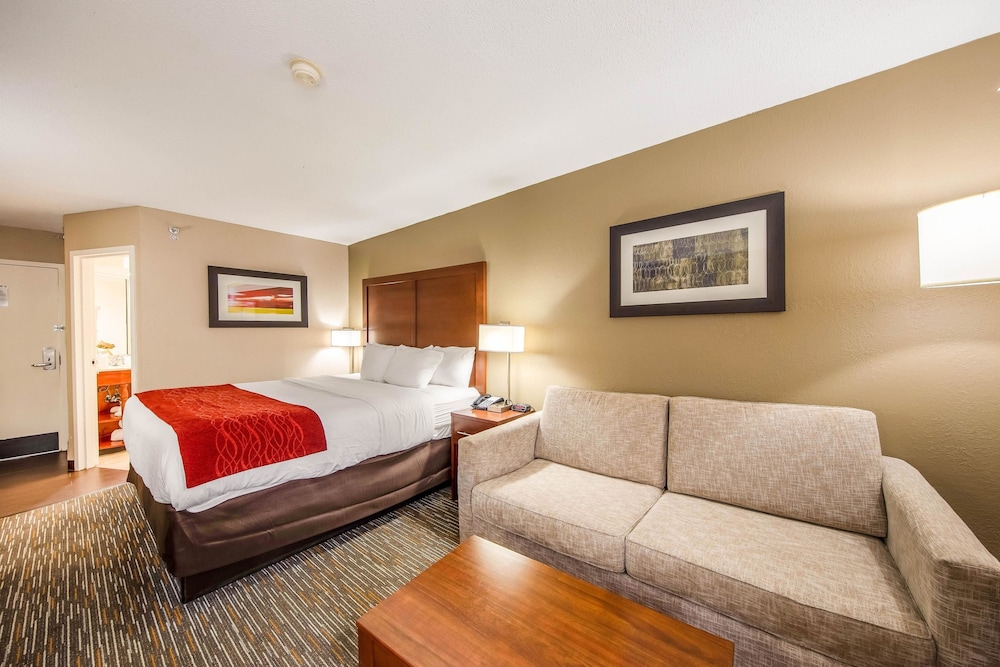 Comfort Inn Greenville - Haywood Mall 18/55