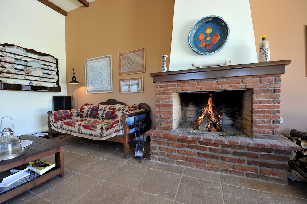 Gera's Olive Grove 5/50