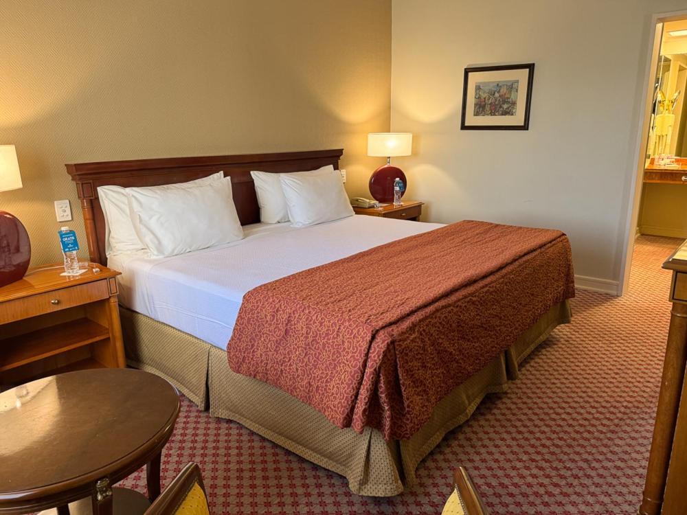Austral Plaza Hotel 15/57