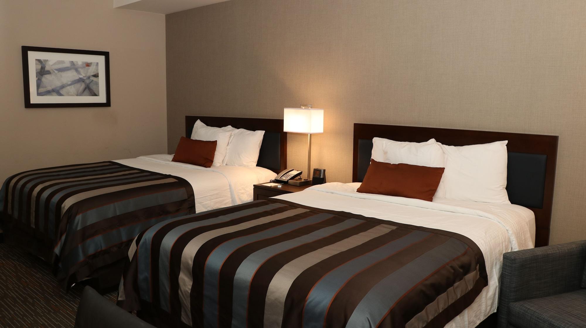 Suite, Multiple Beds, Accessible
