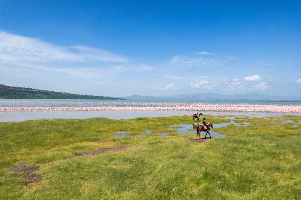 Lake Elmenteita Serena Camp 39/50