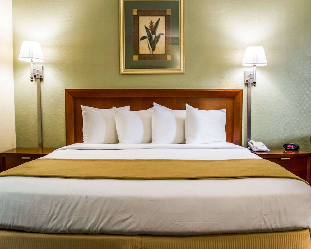 Quality Inn Tampa Airport - Cruise Port 30/69