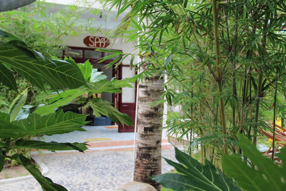 Gm Doc Let Beach Resort Spa 2/65