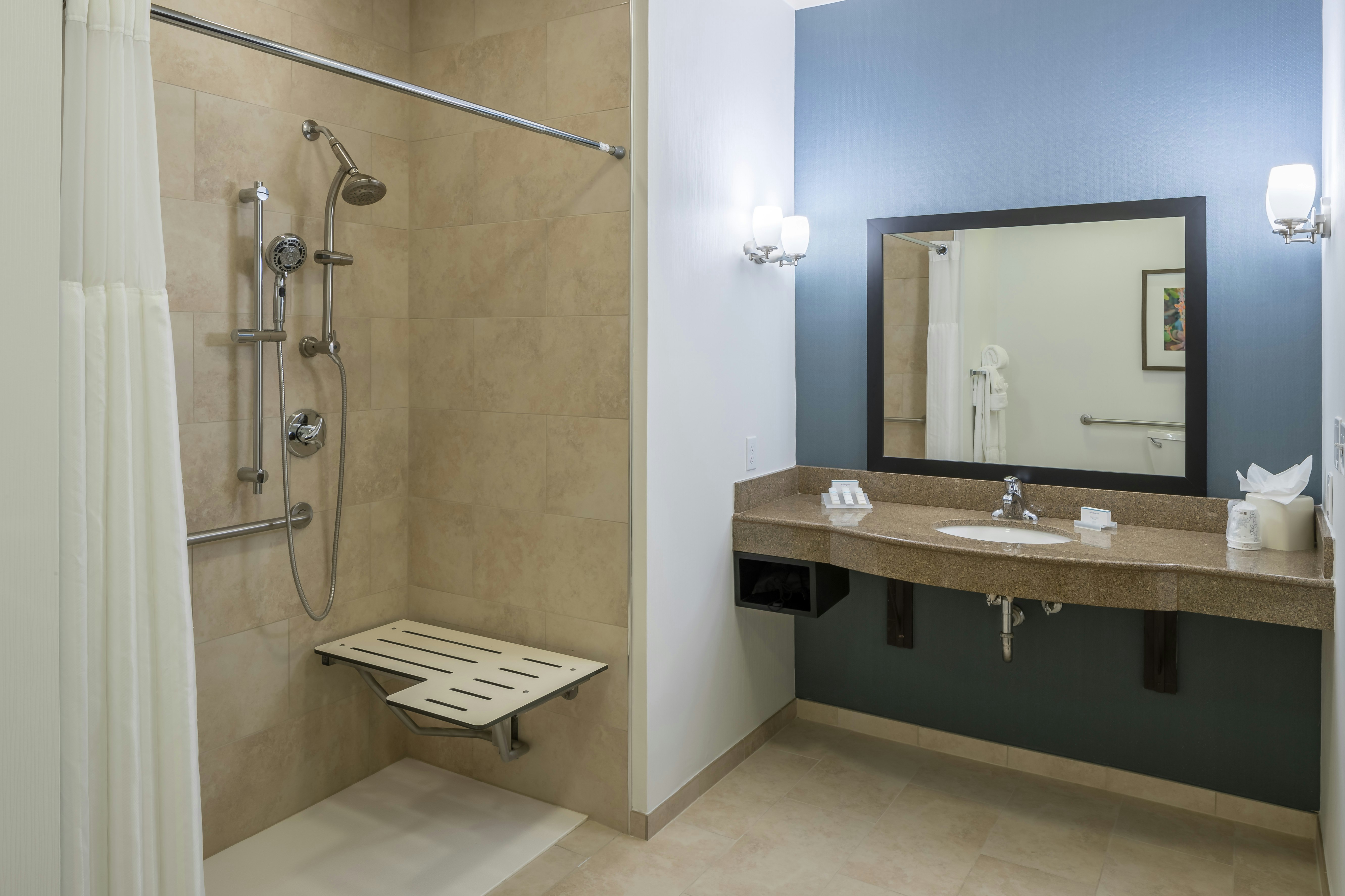 غرفة بسرير كينج لذوي الإعاقة، Hilton Garden Inn Dfw North Grapevine 3/3