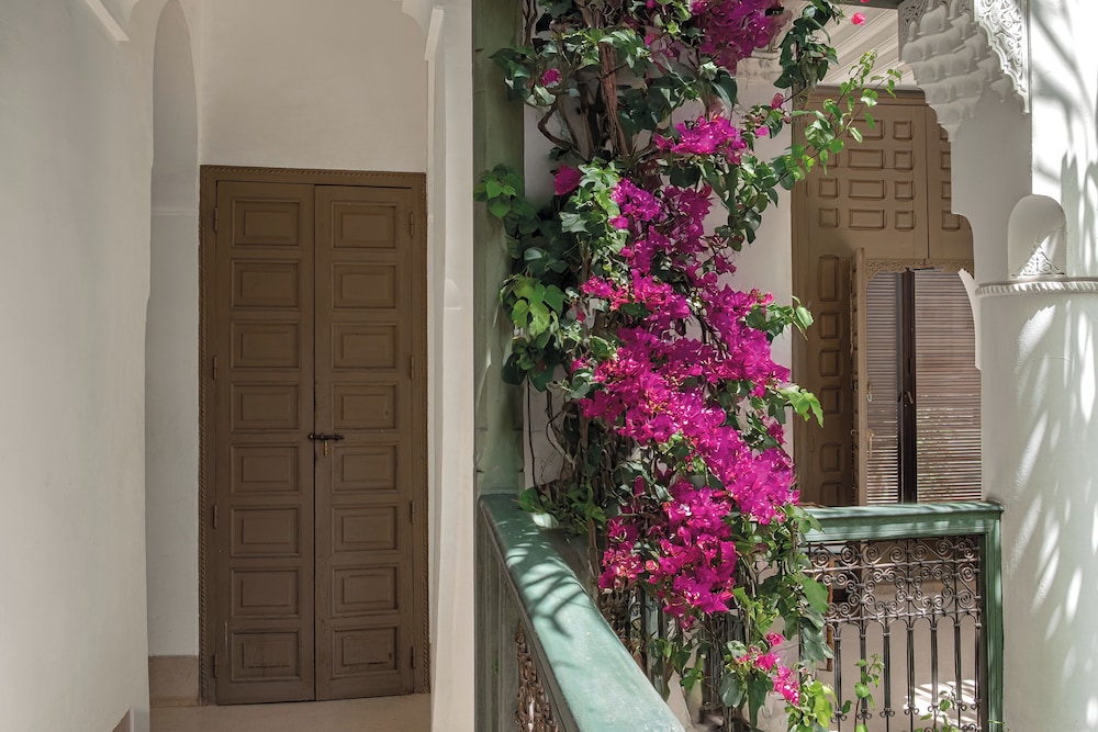 Riad Jaaneman 8/83
