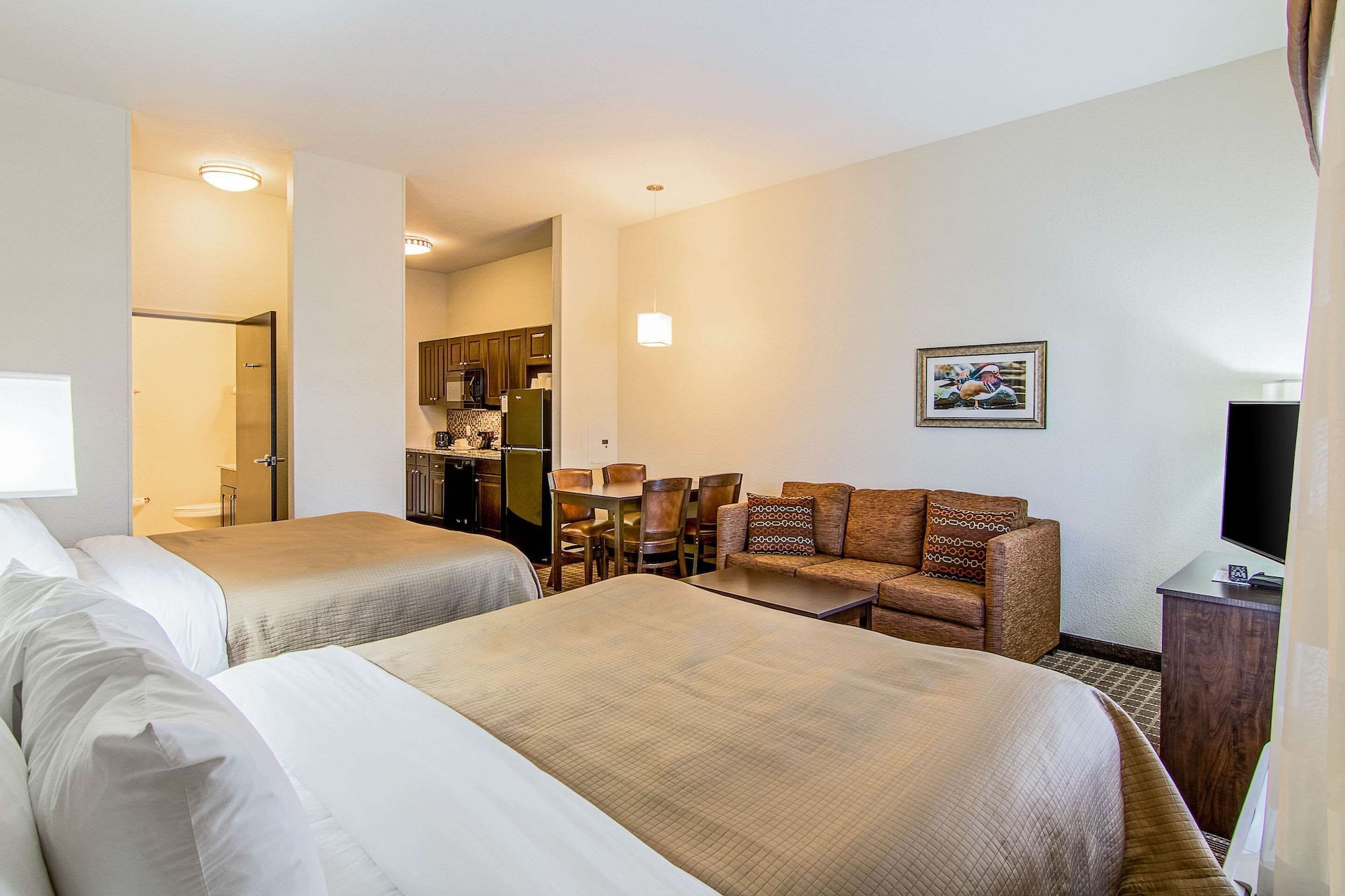 Efficiency, Suite, 2 Queen Beds, Sofa
