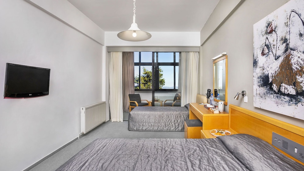 Troodos Hotel 28/50