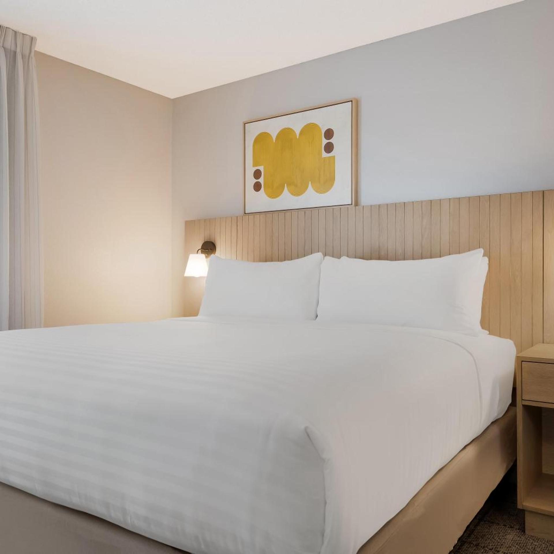 Studio, Suite, Queen Bed, Bathtub, Accessible
